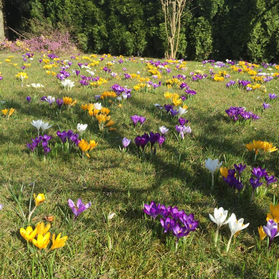 Ferienwohnungen Am Feldrain - Gornau Im Erzgebirge Zschopau Exteriör bild